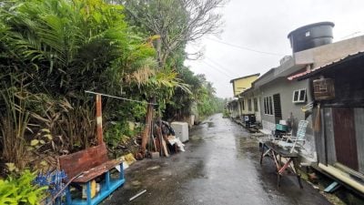 私人地荒废 杂草丛生  蛇鼠猴出没 扰民