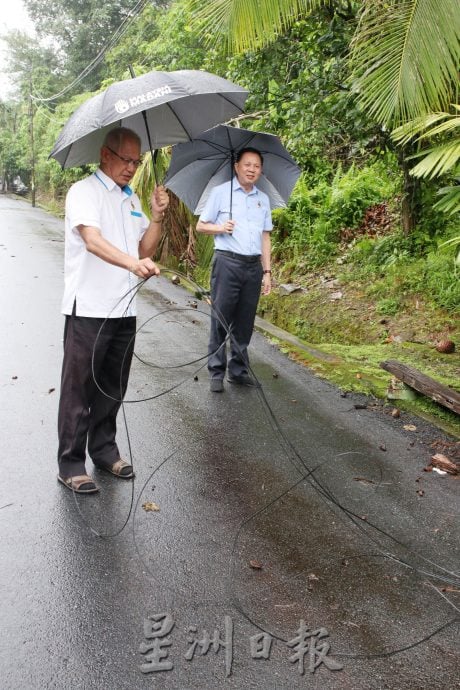 NS5主文／亚沙再也花园私人土地长期荒废，居民遭杂草丛生、树木倒塌与野生动物困扰