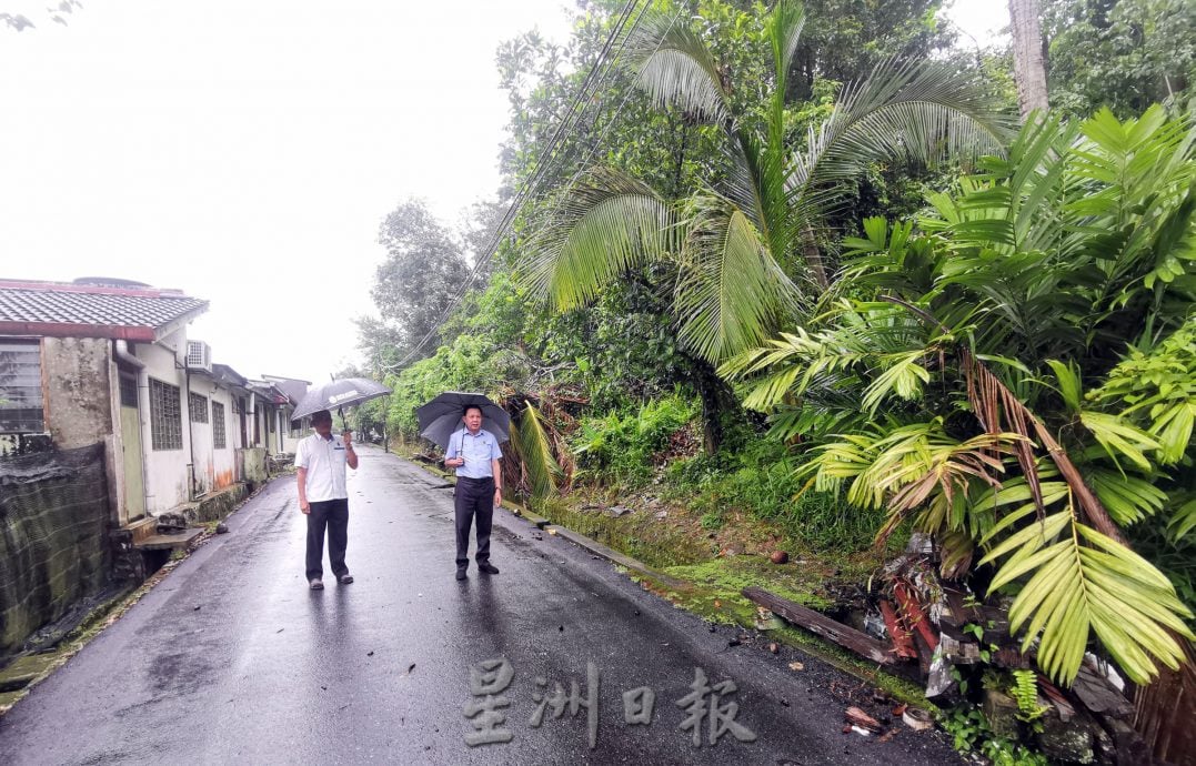 NS5主文／亚沙再也花园私人土地长期荒废，居民遭杂草丛生、树木倒塌与野生动物困扰