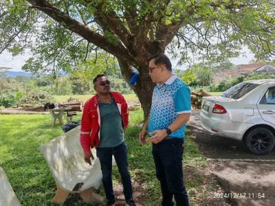 拿督格拉纳马末路树茂盛  芙市厅拨5万砍伐 免酿祸