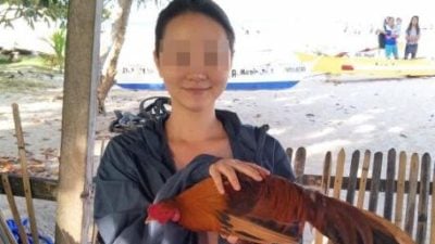 自驾游台出车祸 33岁女兽医丧命 夫女轻伤已出院