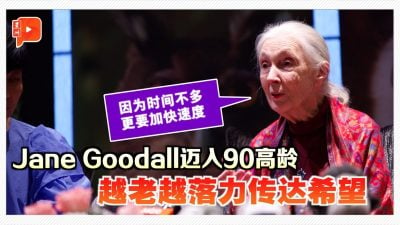 一只狗打脸所有教授 Jane Goodall来马提启蒙“老师”