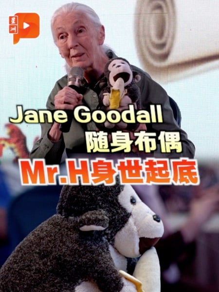 Jane Goodall猴布偶有激励故事 赠予者是盲人魔术师