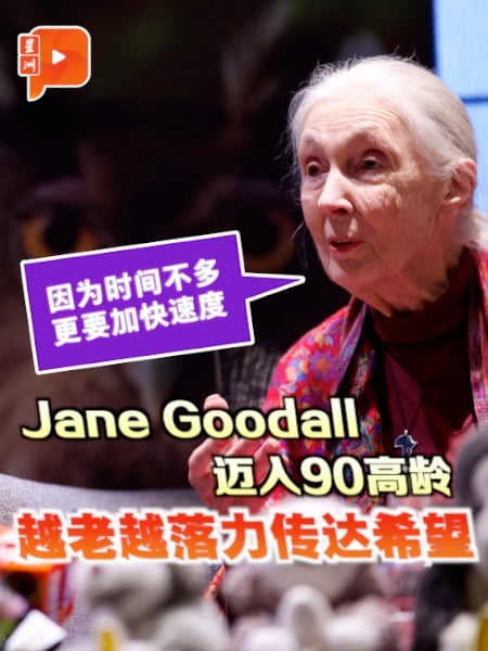 一只狗打脸所有教授 Jane Goodall来马提启蒙“老师”