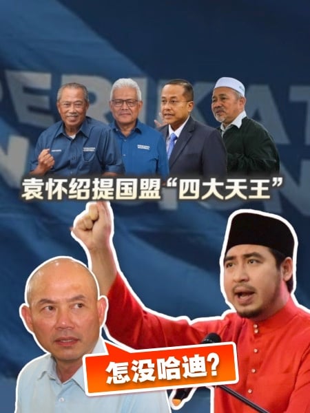 袁怀绍提国盟4首相人选 没哈迪？