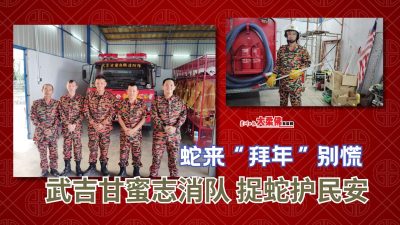 大柔佛三分钟 | 【新年特稿】蛇来“拜年”别慌，武吉甘蜜志消队 捉蛇护民安