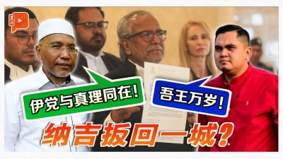 伊党大队挺纳吉 判决出炉后阿克马高喊“吾王万岁！”