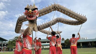 视频 | 乙巳蛇年舞“蛇龙” 高峰龙狮体育会 传递从低谷到高峰的进化之美！