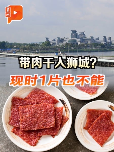 带肉干入狮城？现时1片也不能