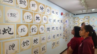 “百蛇书法展”开幕 392幅“蛇”邀品鉴