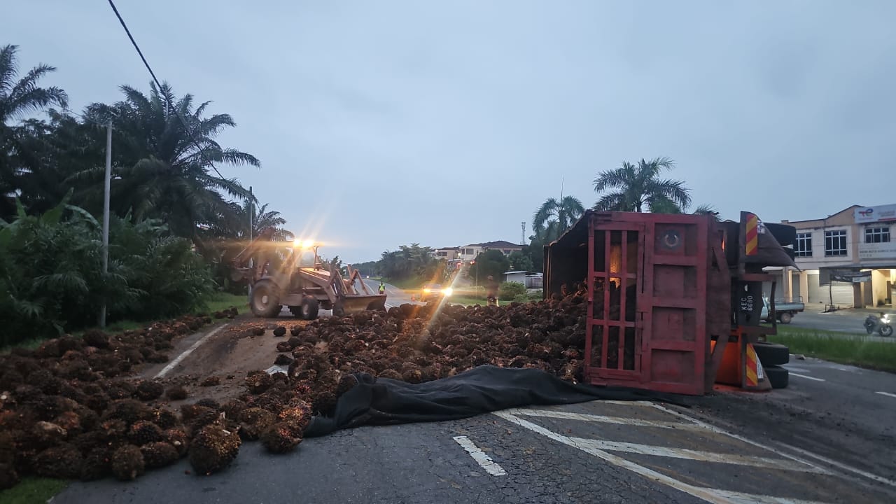 东：金马扬通往马口10号联邦公路靠近莲花苑花园路口处，载满油棕果罗里失控翻覆四轮朝天，油棕果撒满马路。