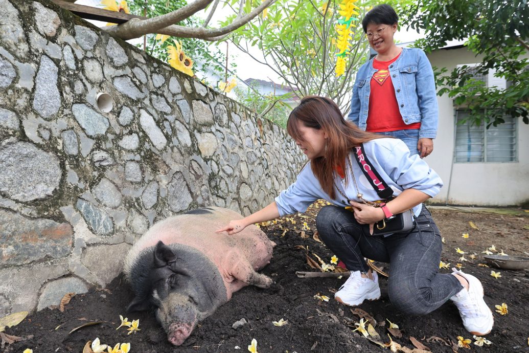 供星洲网：半岛心旅行：融合历史与现代的半日游 来万茂新村体验“新村三宝”