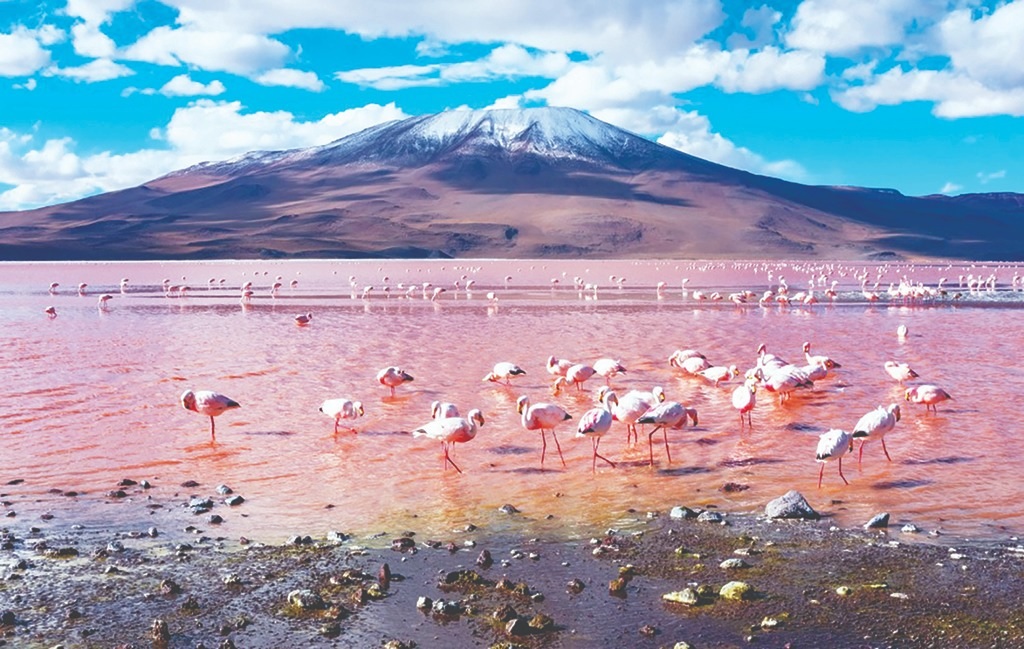 全球最臭旅游景点 孟买居首 印尼火山也上榜