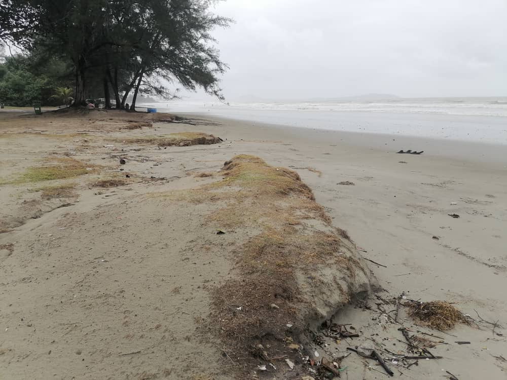 关丹黑沙滩海蚀范围逐年扩大，此次雨季情况最显着。