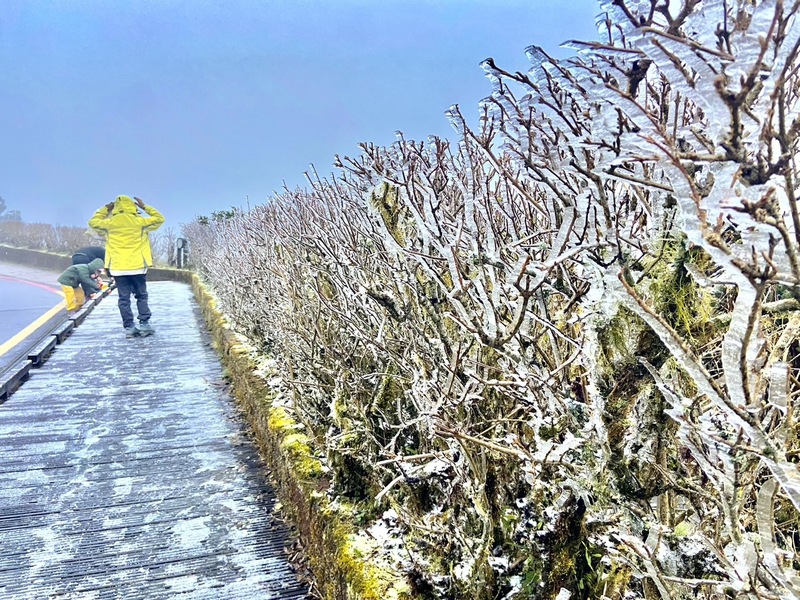 合欢山玉山成银白世界 台民众上山追雪开心直呼