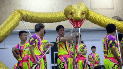 舞龙舞狮不够主角威 舞灵蛇 抢尽光芒