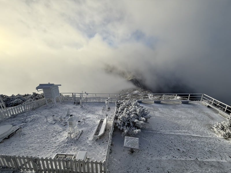 拼盘∕冷气团袭台 玉山下雪了 主峰步道积雪2公分