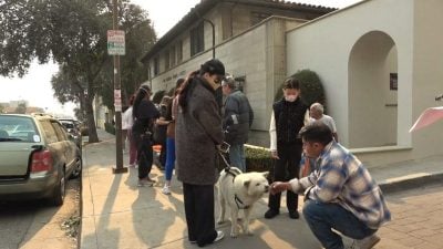 洛杉矶野火灾黎留宿会议中心 收容所接收上百只宠物