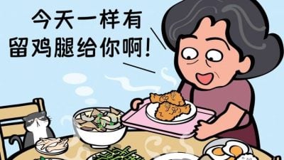 特意留饭菜独享2鸡腿  公婆宠媳弥补童年缺憾