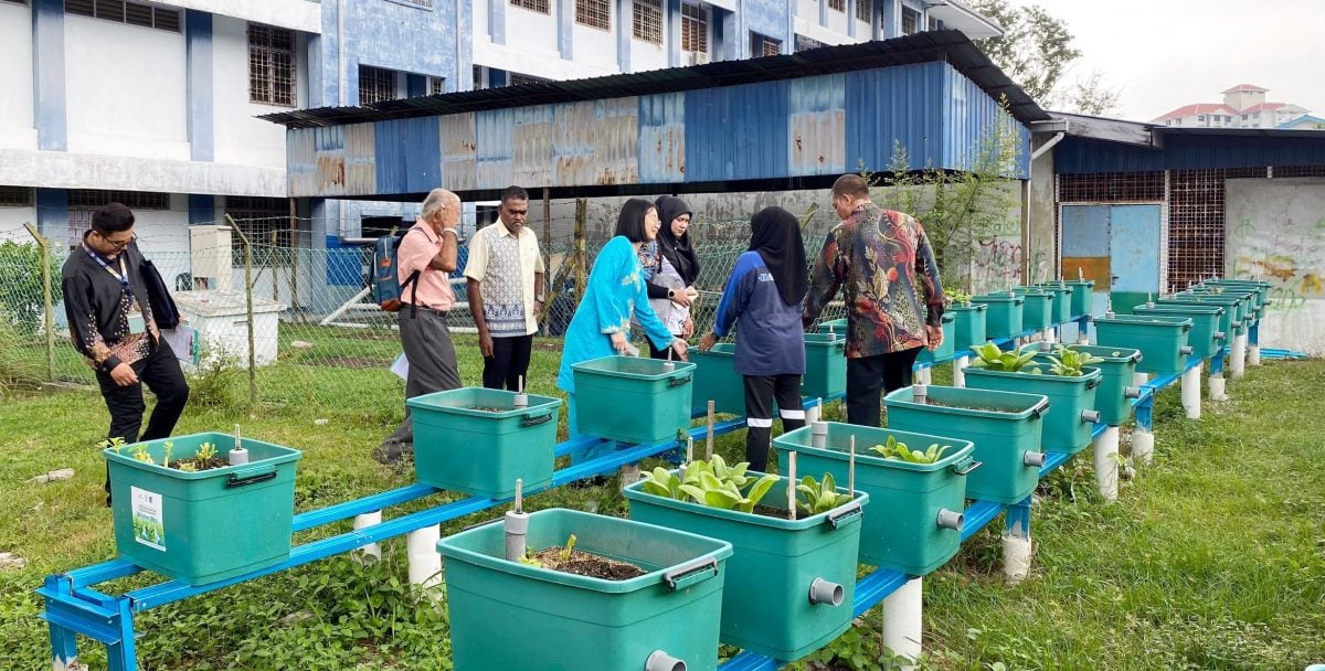 绿量（大北马）槟岛市政厅绿色比赛 助推学校环保教育