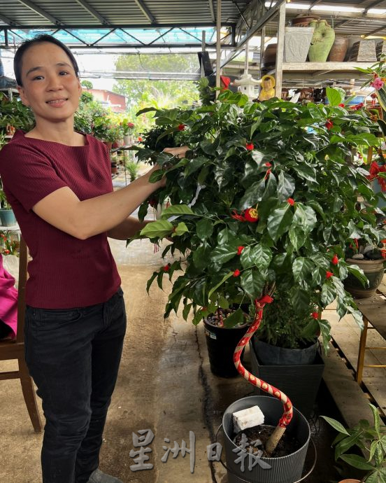 （古城封面主文）游子大手笔消费·年花市场大热