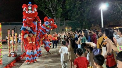 居民自费2万  柏淡岭花园布置年景 