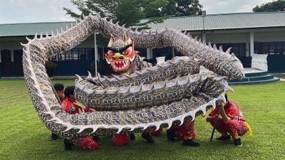 高峰龙狮体育会生肖舞龙系列   “蛇龙赐福”威武登场