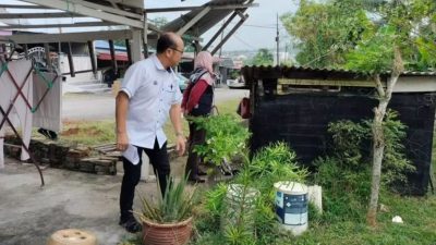 魏喜森：去年蚊症近翻倍  或破门入空屋查源头