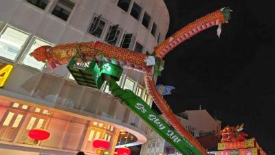 坐镇鸡场街一年 龘龘龘祥龙元旦夜下岗