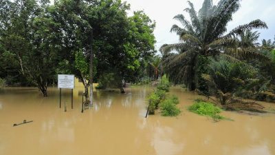 低洼地区陆续泛滥  居銮县3甘榜水灾