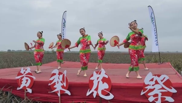 黄梨花祭祈风调雨顺  众人日出祭拜四方