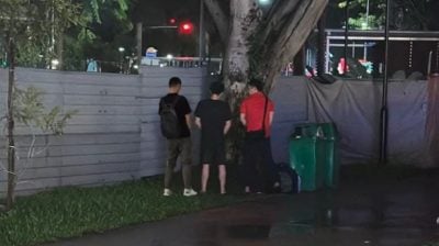 又一宗！狮城3男在大树下撒尿