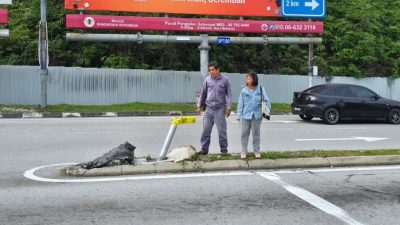 芙蓉奥克兰商业区Lotus商场前交通灯又被撞倒 市议员：类似事故发生超过5次