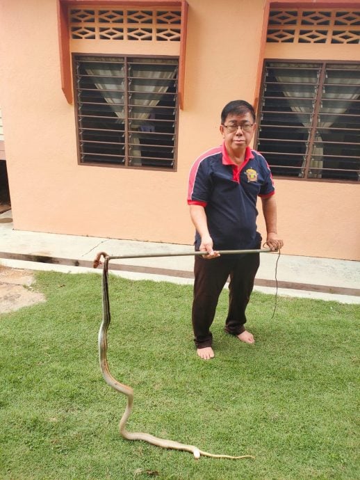 NS马口:过江龙卷成一团躲在厕所马桶内，吓坏妇女