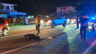 男子过马路遭撞身亡 肇事司机逃逸