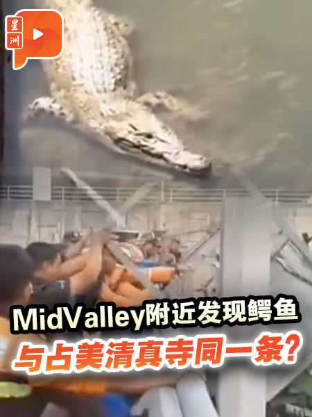 谷中城MidValley附近河流有鳄鱼出没 当局设陷阱诱捕