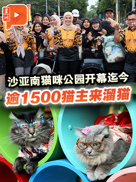 沙亚南猫咪公园开幕迄今 逾1500猫主来溜猫