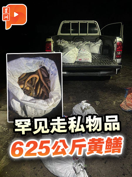 罕见走私物品 625公斤黄鳝