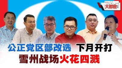 公正党区部改选下月开打 雪州战场火花四溅