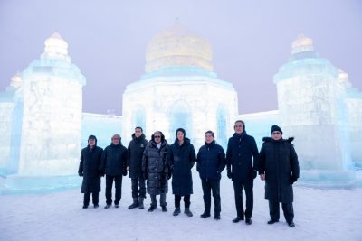 参观哈尔滨国际冰雪节 . 王子欣赏著名地标冰雕