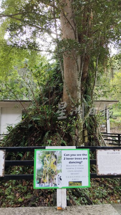 【半岛心旅行】／文化与自然交织 探寻务边一日悠游