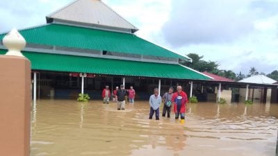 一场长命雨 文冬又水灾  土崩树倒 马路变河