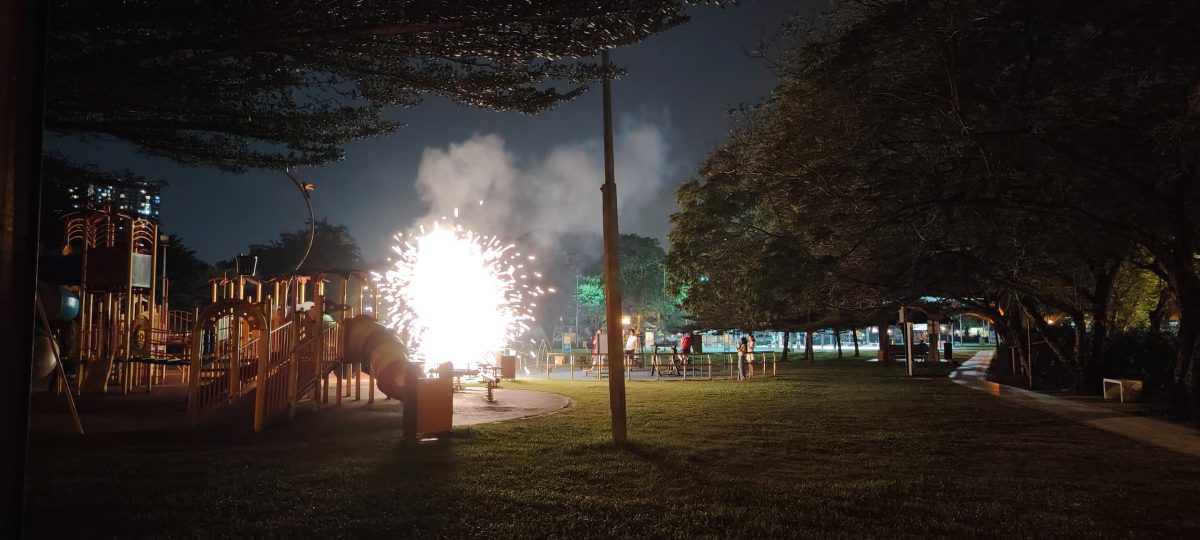 已签发（早报可头）大都会/民众玩疯了 隆市政局公园在新春期间惨遭“辣手摧花”