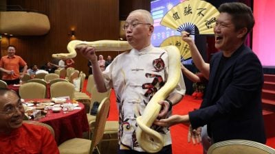 茨厂街中文牌楼课题|  魏反讽被称“魏公家祥”   盼倪可敏做“有教养大炮”