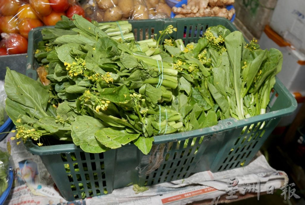 菜心小白菜首当其冲 新春后叶菜大跌价