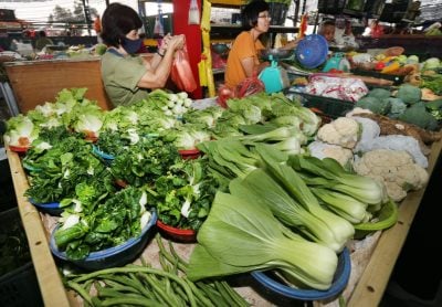 菜心小白菜首当其冲 新春后叶菜大跌价