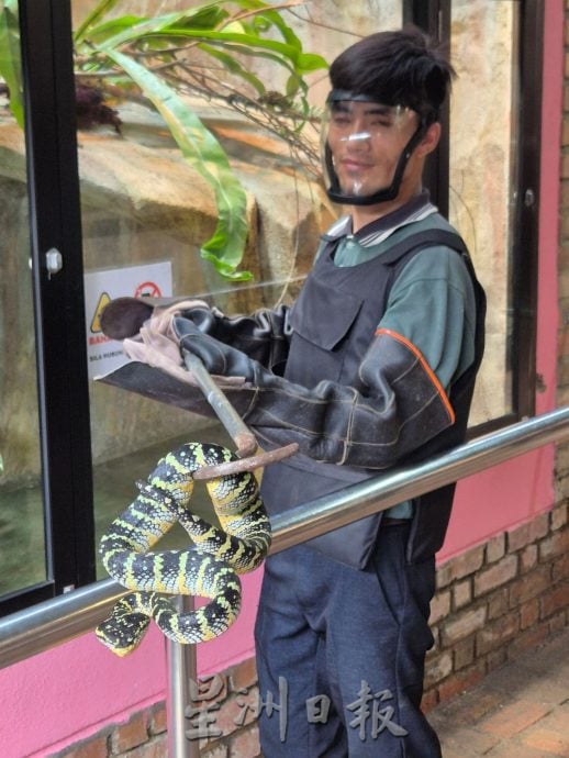 （古城新年备稿）：蛇年来解开人们对蛇的迷思