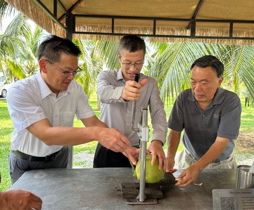 （古城版）林万锋偕徐玉长与代表团莅吉里望选区，体验椰林休闲生态旅游