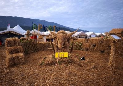 （大北马）铅县“卷卷草”卷土重来 场景布置和卷草造型再升级