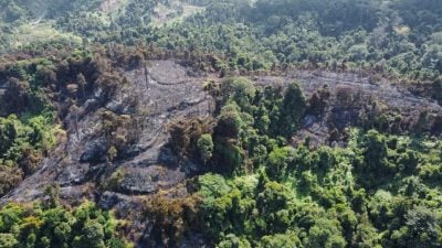 双溪龙镇山林失火疑涉人为因素   排除与非法垃圾山有关